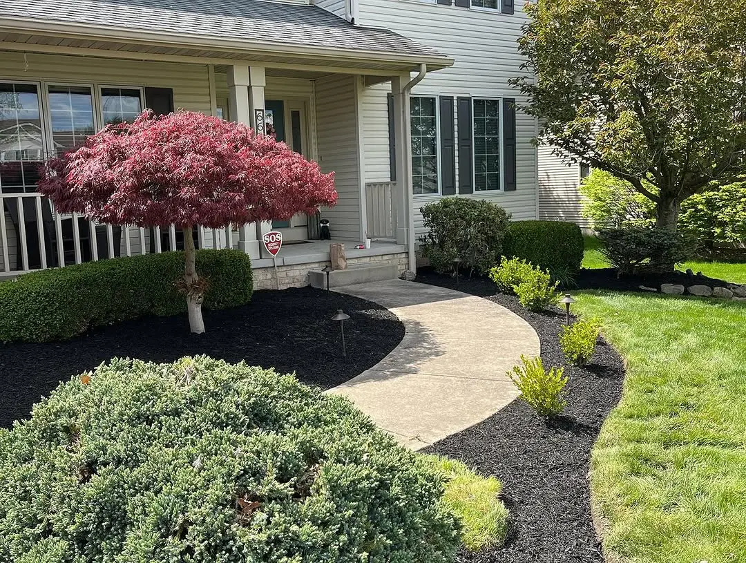 Front yard landscape design with defined mulch beds, shrubs, and curved walkway at residential home