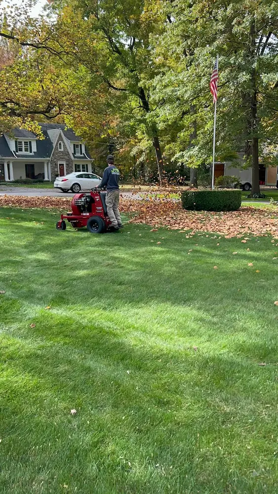 Professional leaf removal and lawn cleanup service in a residential neighborhood