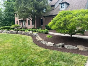 Professional landscape installation with clean mulch beds and trimmed shrubs