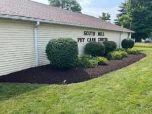 Commercial landscaping at South Mill Pet Care Center with fresh mulch beds and trimmed shrubs along building