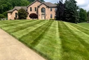 Large residential lawn with clean mowing stripes and professional lawn care finish