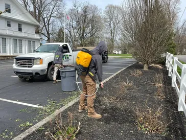 Technician performing weed control and spraying landscape beds along a parking area